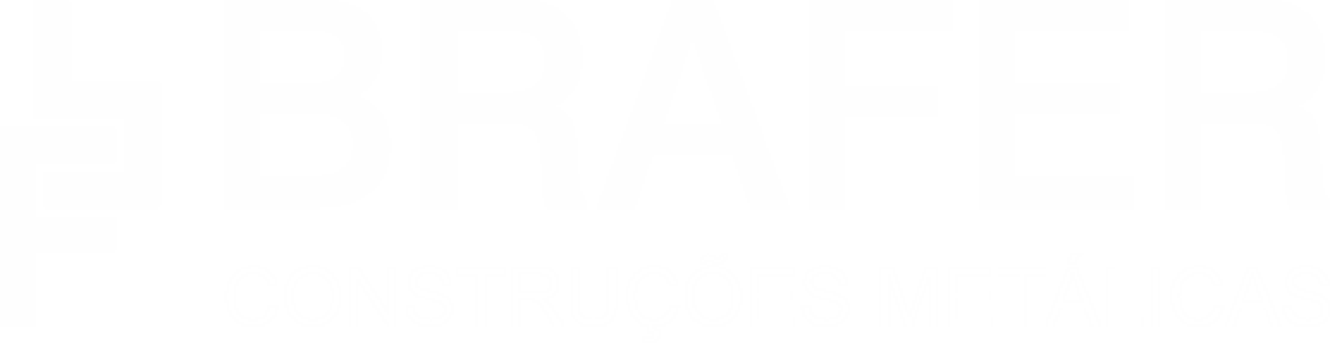 BRAFER CONSTRUÇÕES METÁLICAS